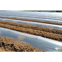 Bálatakaró fólia, talajtakaró fólia